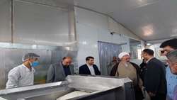 بازدید سرزده بازرسی‌کل استان خراسان رضوی از دستگاه‌های اجرایی شهرستان فریمان/ بررسی مشکلات 4 واحد تولیدی